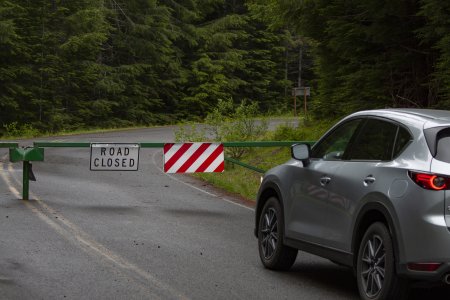 We kunnen Mount St Helens niet over